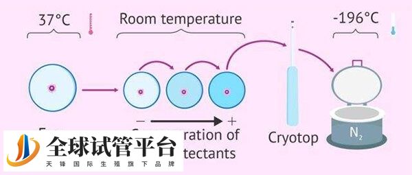 柳州市工人医院试管婴儿自然周期移植流程是怎么样的？