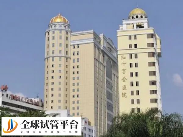 梧州市红十字会医院试管婴儿移植成功率怎么样？