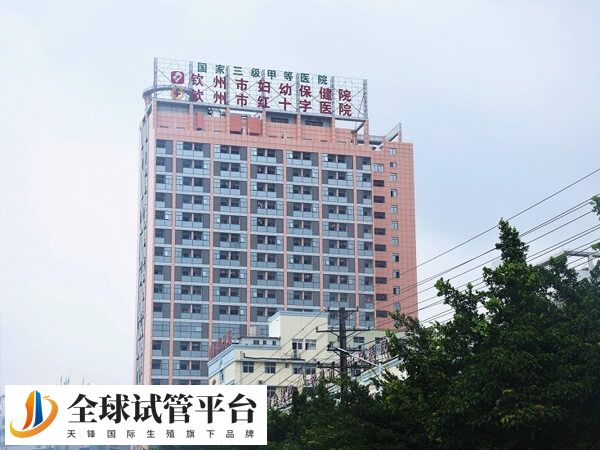 钦州市妇幼保健院做试管婴儿从促排到移植要多少钱？