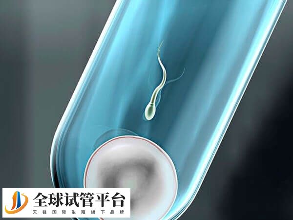 试管移植后第九天胚胎尚未发育到足够大小