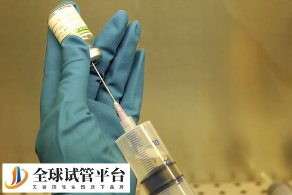 黄体酮是维持早期妊娠所必需的激素