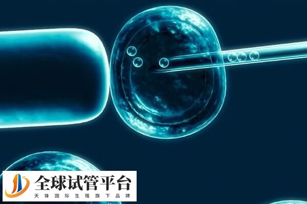 女性的免疫系统异常会影响着床率