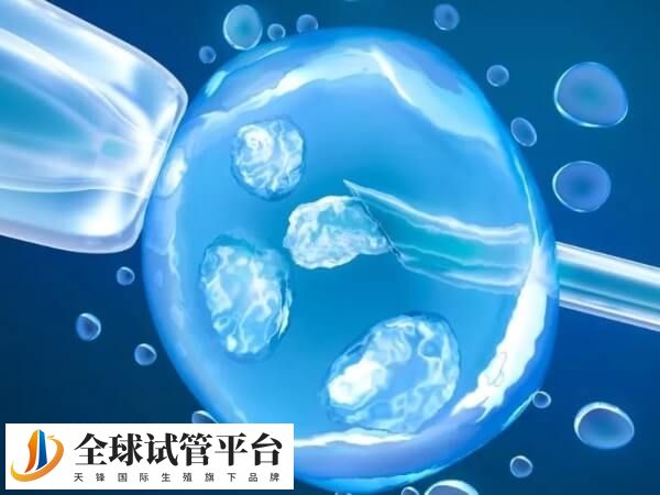 冻胚移植后要合理饮食