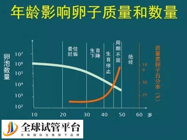 年龄影响卵子品质