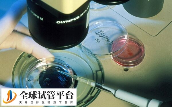 试管婴儿是一项辅助生殖技术