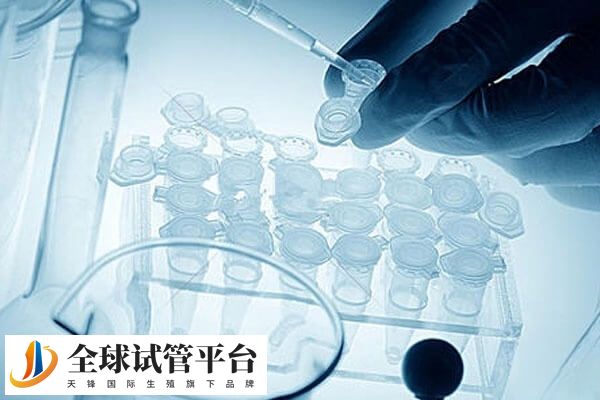 做试管婴儿治疗时间为3-4月