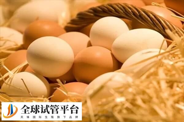 鸡蛋营养丰富