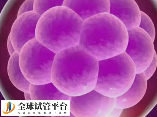 胚胎染色体异常会影响HCG水平