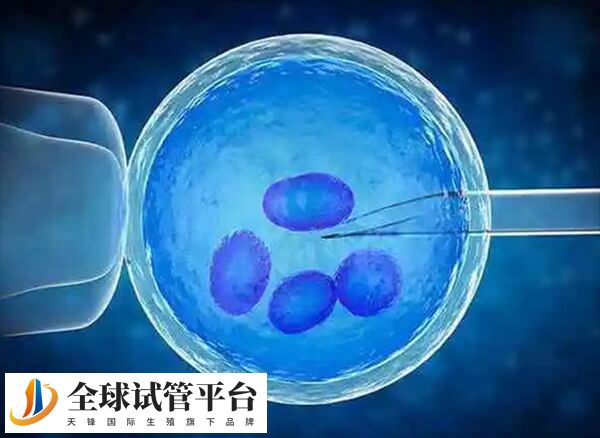 取卵8个可以配成5-7个胚胎