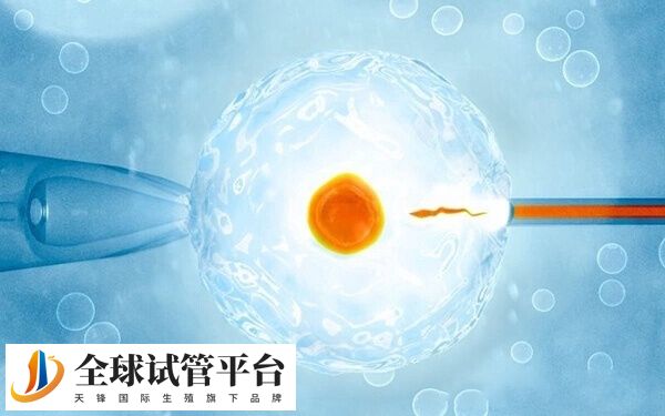 年龄也会影响单卵双胎的情况