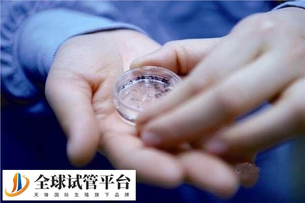 囊胚的培养环境包括培养基