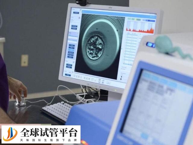 试管移植失败后要优化治疗方案