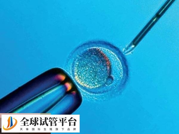 试管移植年龄越高成功率越低