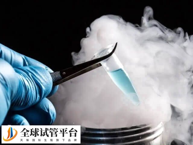 冷冻胚胎是指将胎在液氮(-196℃)里保存
