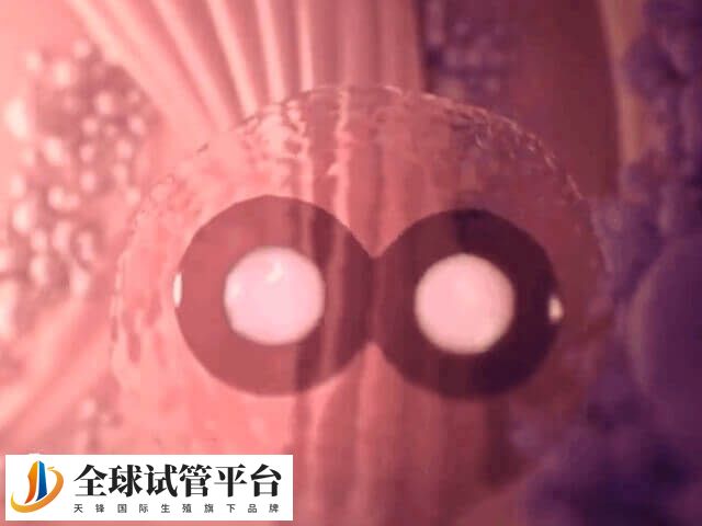 鲜胚移植成功后黄体酮水平会逐渐升高