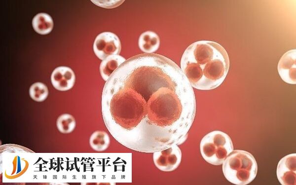 内分泌失调会导致卵泡萎缩