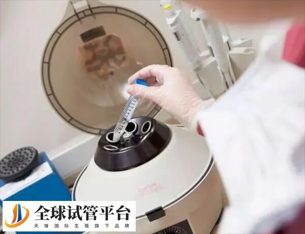 胚胎移植是试管婴儿过程中非常重要的一项