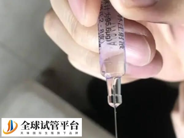 鲜胚移植成功后口味会变化