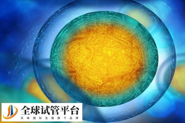 试管移植手术可能引起一系列身体变化