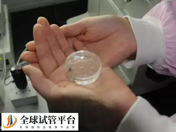 冻胚移植存在一定的局限性