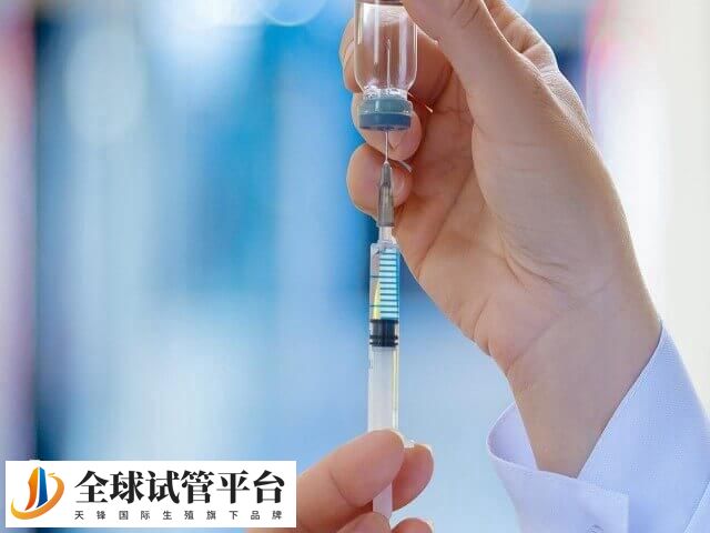 激素替代周期仅生长内膜无需卵泡发育