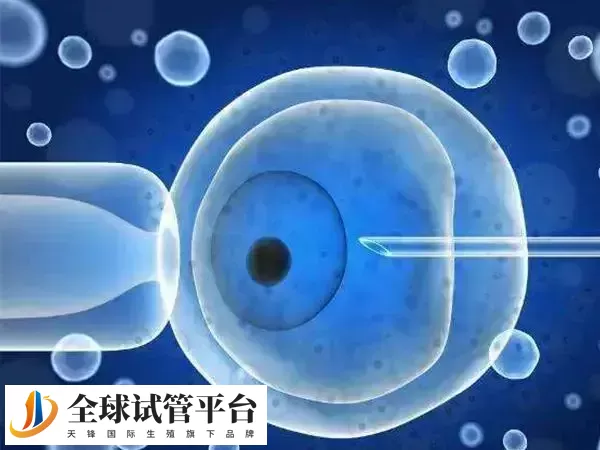 促排卵泡发育问题持续存在需及时就医