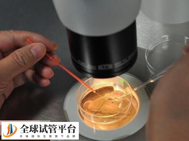 三代试管PGT技术包括多种检测类型