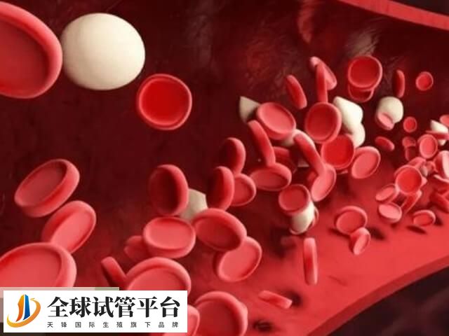 地贫可以做三代试管