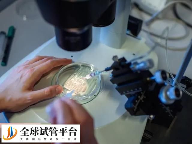 三代试管筛查地贫的准确率高