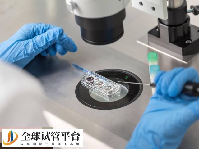 地贫患者囊胚需要送检