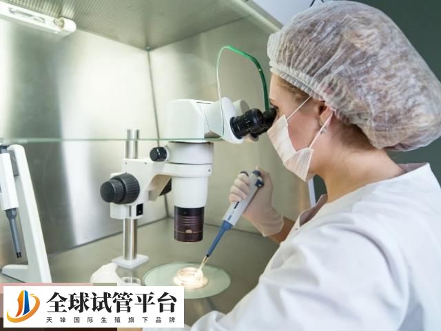 地贫做三代试管前要进行身体检查