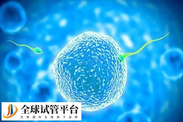 胚胎质量差不容易着床