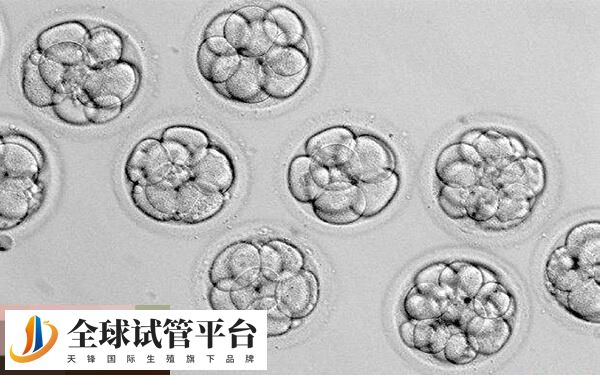 试管移植后腹部受凉会引起腹痛