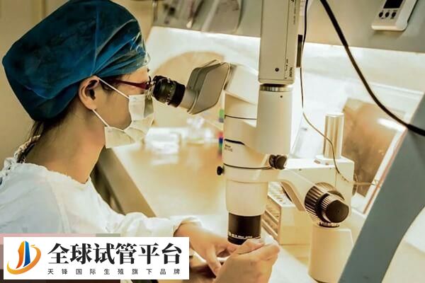 三代试管婴儿阻断色盲