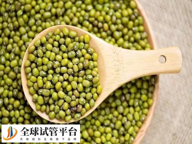 试管移植后吃绿豆有助身体健康
