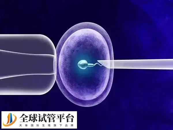 取卵后出血可能是凝血功能障碍