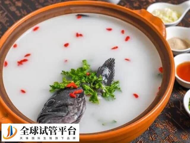 多吃富含蛋白质的食物能增强母体免疫力