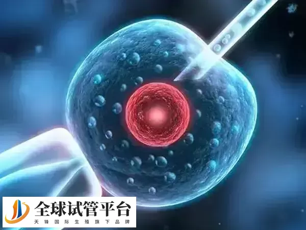 一般无法完全消除取卵过程中的不适感