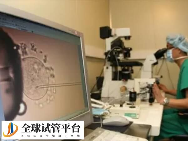 取卵和胚胎移植都在同一个周期内完成