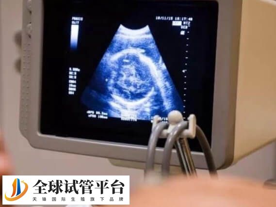 胚胎生长发育依赖女性的内分泌协调