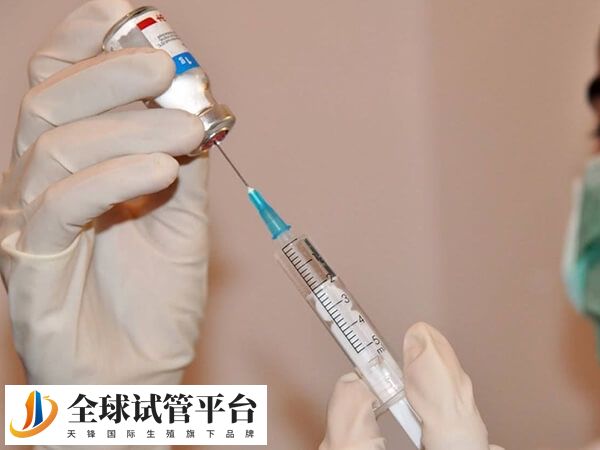 促排卵能增加受精卵数量和质量