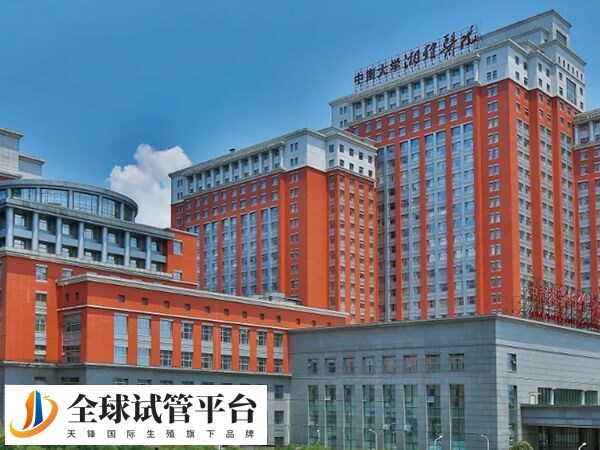 中南大学湘雅医院试管成功率约50%