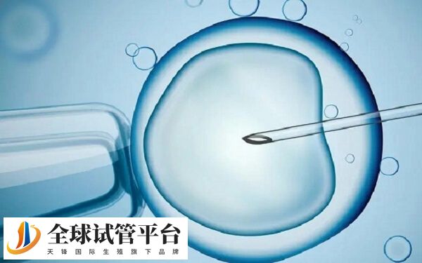 长沙试管包成功医院有哪些