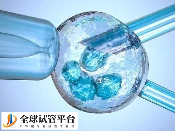 试管婴儿成功率不是百分百