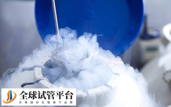养囊成功的胚胎可以进行反复冷冻