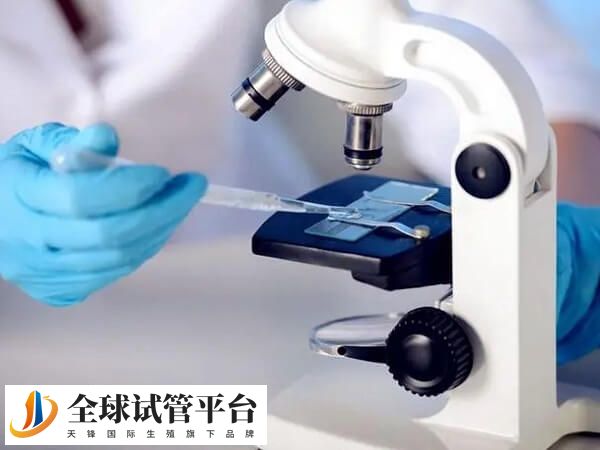 在进行试管婴儿操作前准备阶段非常重要