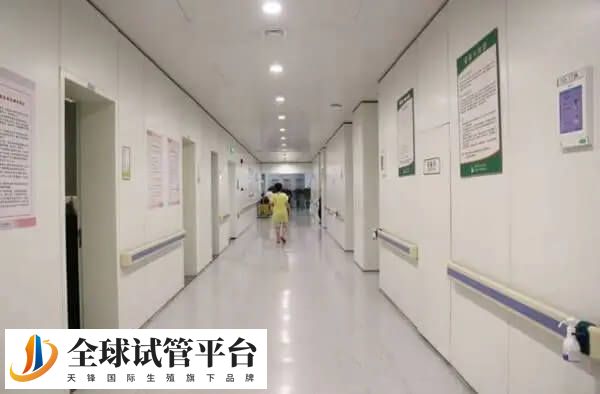 西北妇幼和唐都试管婴儿的成功率因多种因素而异