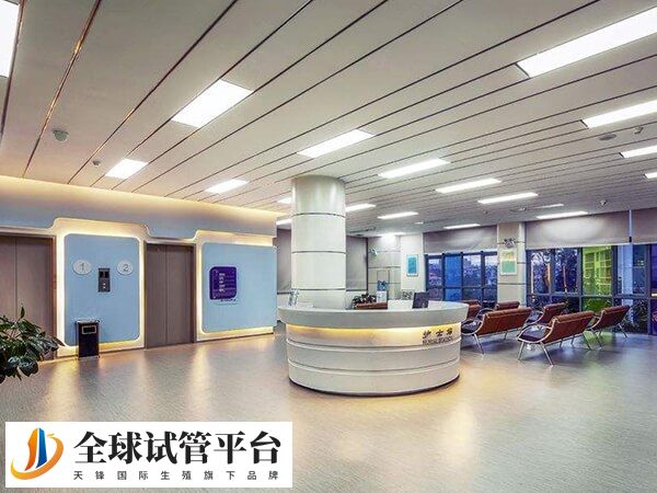 重庆北部妇产医院试管婴儿成功率多高