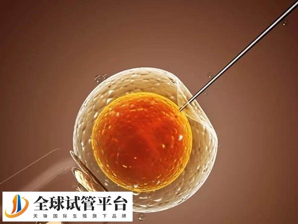 重庆七星岗试管报销多少