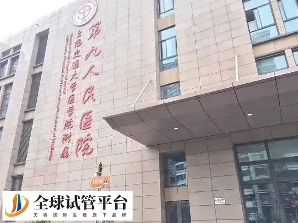 上海九院试管成功妊娠率可达60%左右